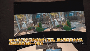3.gif