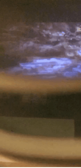 1725365045338.gif